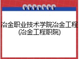 冶金职业技术学院冶金工程(冶金工程职院)