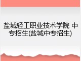 盐城轻工职业技术学院 中专招生(盐城中专招生)