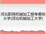 河北职高机械加工报考哪些大学(河北机械加工大学)