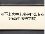 考不上高中未来学什么专业好(高中落榜学啥)