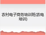 农村电子商务培训班(农电培训)