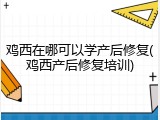鸡西在哪可以学产后修复(鸡西产后修复培训)