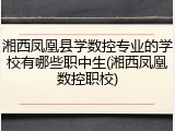 湘西凤凰县学数控专业的学校有哪些职中生(湘西凤凰数控职校)
