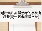 潮州集训舞蹈艺考的学校有哪些(潮州艺考舞蹈学校)