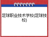 足球职业技术学校(足球技校)