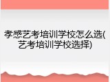 孝感艺考培训学校怎么选(艺考培训学校选择)