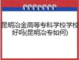 昆明冶金高等专科学校学校好吗(昆明冶专如何)