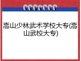 嵩山少林武术学校大专(嵩山武校大专)