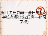 周口沈丘县高一全日制补习学校有哪些(沈丘高一补习学校)