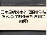 云南昆明外事外语职业学院怎么样(昆明外事外语职院如何)