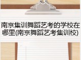 南京集训舞蹈艺考的学校在哪里(南京舞蹈艺考集训校)