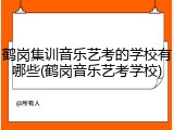 鹤岗集训音乐艺考的学校有哪些(鹤岗音乐艺考学校)