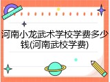 河南小龙武术学校学费多少钱(河南武校学费)