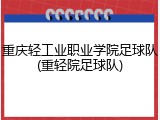 重庆轻工业职业学院足球队(重轻院足球队)