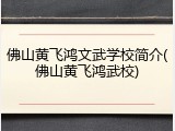 佛山黄飞鸿文武学校简介(佛山黄飞鸿武校)