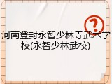 河南登封永智少林寺武术学校(永智少林武校)