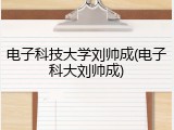 电子科技大学刘帅成(电子科大刘帅成)