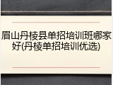 眉山丹棱县单招培训班哪家好(丹棱单招培训优选)