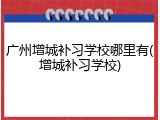 广州增城补习学校哪里有(增城补习学校)