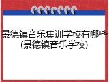 景德镇音乐集训学校有哪些(景德镇音乐学校)