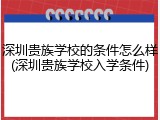 深圳贵族学校的条件怎么样(深圳贵族学校入学条件)