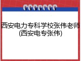 西安电力专科学校张伟老师(西安电专张伟)