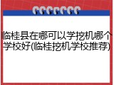 临桂县在哪可以学挖机哪个学校好(临桂挖机学校推荐)
