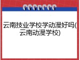 云南技业学校学动漫好吗(云南动漫学校)