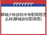 聊城少林武校中专职高班怎么样(聊城武校职高班)