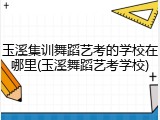 玉溪集训舞蹈艺考的学校在哪里(玉溪舞蹈艺考学校)