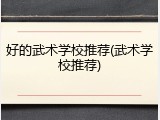好的武术学校推荐(武术学校推荐)
