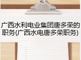 广西水利电业集团唐多荣的职务(广西水电唐多荣职务)