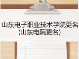 山东电子职业技术学院更名(山东电院更名)