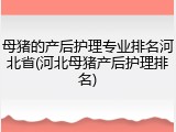 母猪的产后护理专业排名河北省(河北母猪产后护理排名)