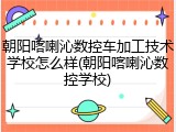 朝阳喀喇沁数控车加工技术学校怎么样(朝阳喀喇沁数控学校)