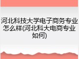 河北科技大学电子商务专业怎么样(河北科大电商专业如何)