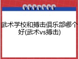 武术学校和搏击俱乐部哪个好(武术vs搏击)