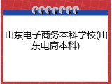 山东电子商务本科学校(山东电商本科)