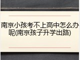 南京小孩考不上高中怎么办呢(南京孩子升学出路)