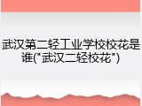 武汉第二轻工业学校校花是谁("武汉二轻校花")
