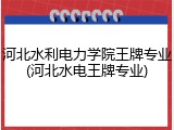河北水利电力学院王牌专业(河北水电王牌专业)