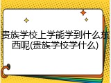 贵族学校上学能学到什么东西呢(贵族学校学什么)