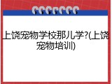 上饶宠物学校那儿学?(上饶宠物培训)
