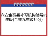 六安金寨县补习机构辅导九年级(金寨九年级补习)
