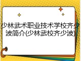 少林武术职业技术学校齐少波简介(少林武校齐少波)