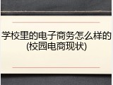 学校里的电子商务怎么样的(校园电商现状)