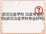 武汉冶金学校 冶金专业好吗(武汉冶金学校专业好吗)