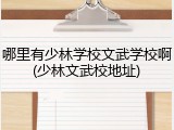 哪里有少林学校文武学校啊(少林文武校地址)