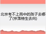 北京考不上高中的孩子去哪了(京落榜生去向)