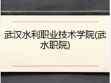 武汉水利职业技术学院(武水职院)